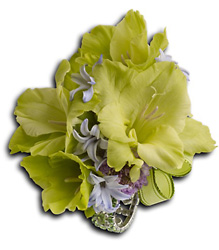Soft Green Glamour Wristlet from Parkway Florist in Pittsburgh PA Soft Green Glamour Wristlet from Parkway Florist in Pittsburgh PA